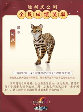 天龙八部shiji私服